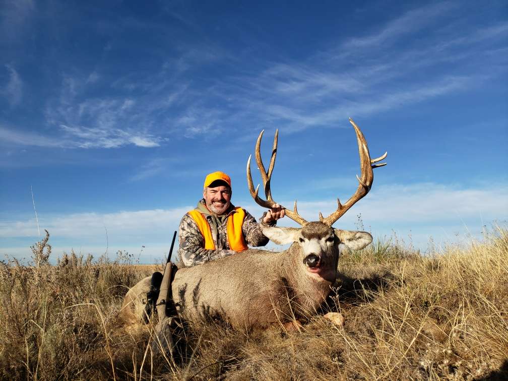 Fair Chase Mule Deer Hunts Colorado